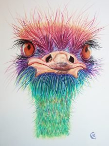emu-cropped