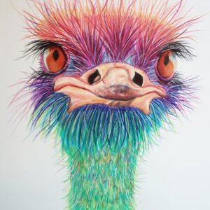 emu-cropped