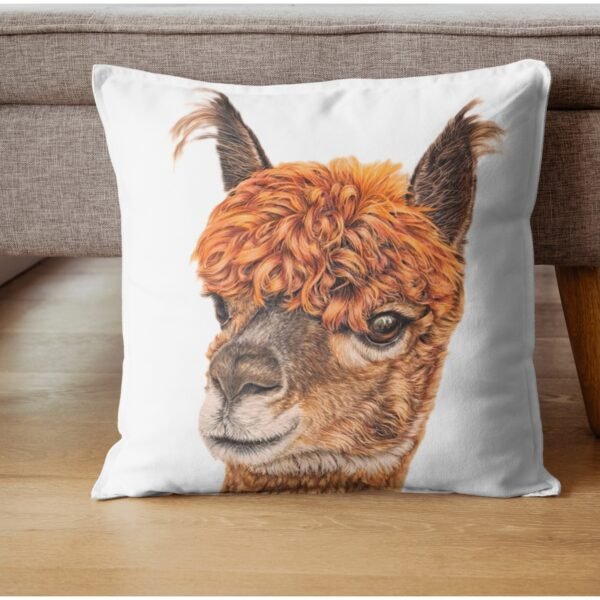 alpaca