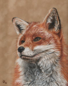 andrea knowles fox derwent