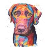 Vibrant labrador