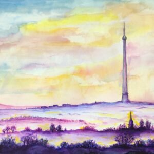 Emley Mast landscape