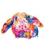 Vibrant Rabbit