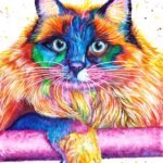Vibrant RagDoll Cat