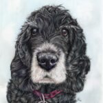 Snoop the Spaniel
