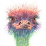 Emu