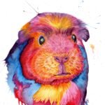 Vibrant Guinea Pig